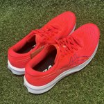 画像2: EvoRide Speed 3【asics アシックス】 (2)